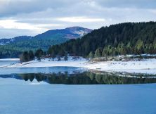 reflections on the lake.jpg